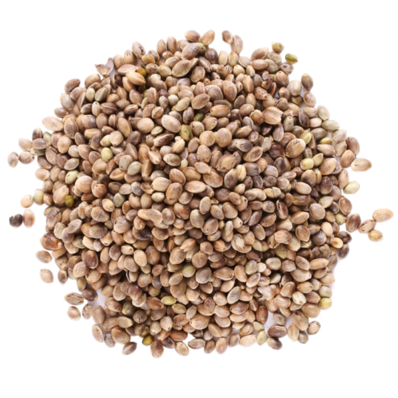 Конопено-семе-600x600-1300x1300 (1) Конопено семе HEMP SEED Vanrobaeys – N-Burn Baits - Image 1